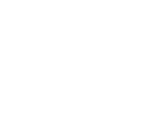 NIXXIN GUITARS